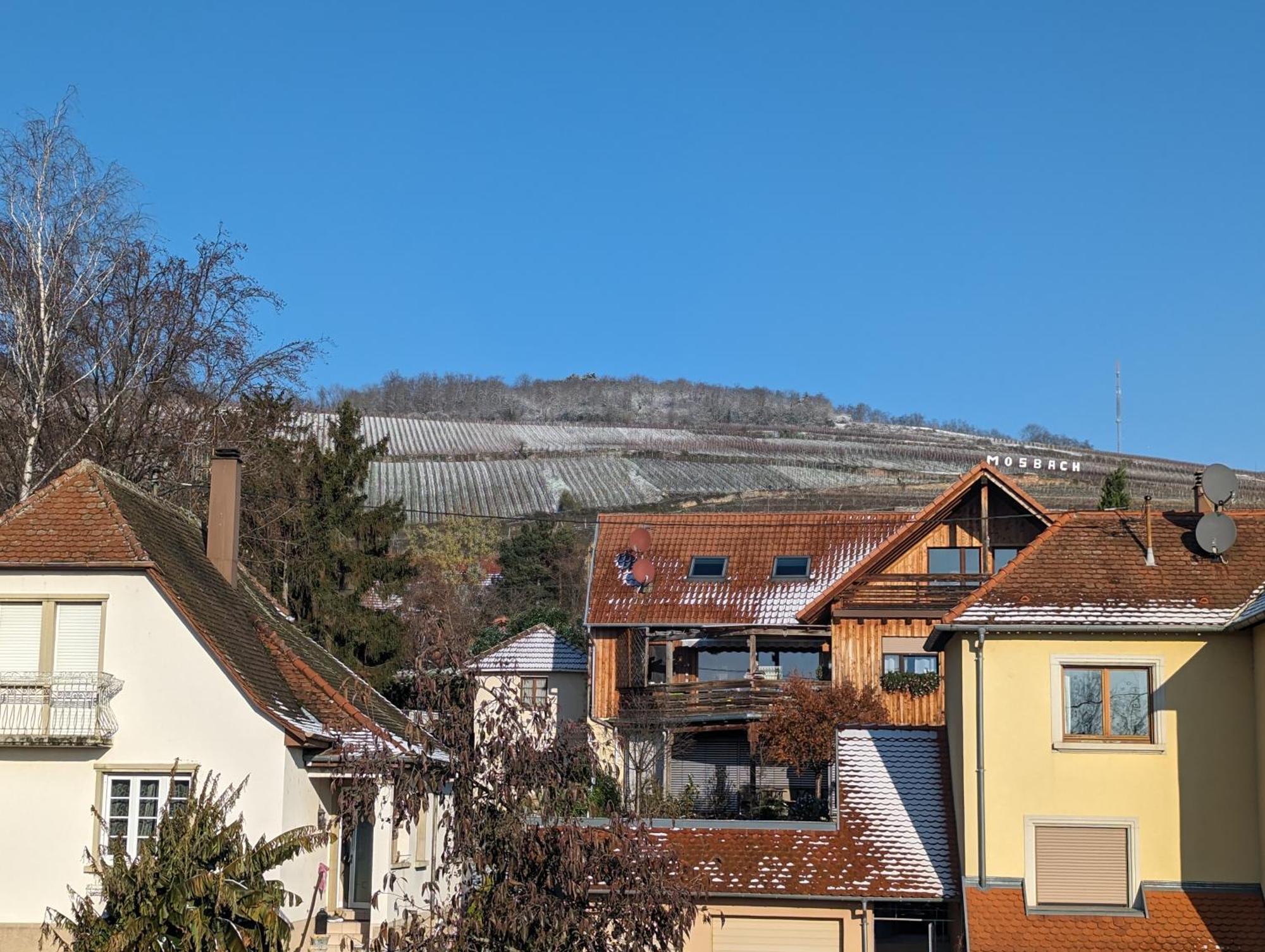 Ferienwohnung Le Cosy Marlenheim Exterior foto